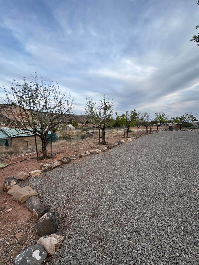 Fruit Trees | Image 66