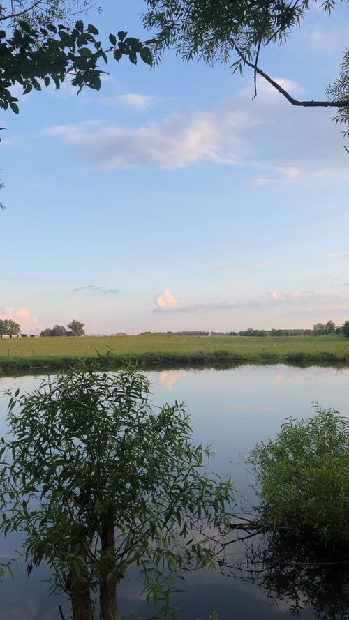0 Borthick Rd, Springfield, TN, 37172 | Card Image