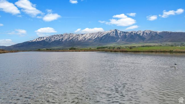 Water and Mountain View from the Cutler boat launch and picnic area | Image 32