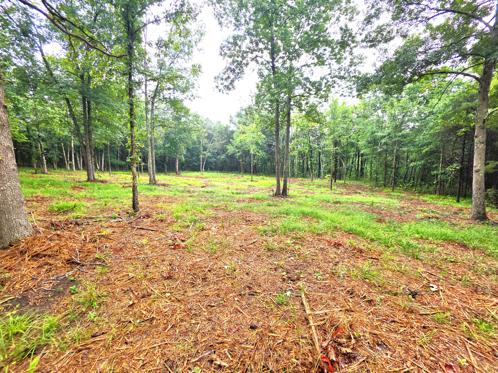 Land in Mount Juliet 5