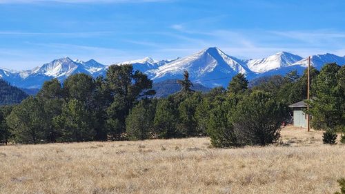 312 16th Trail, Cotopaxi, CO, 81223 | Card Image