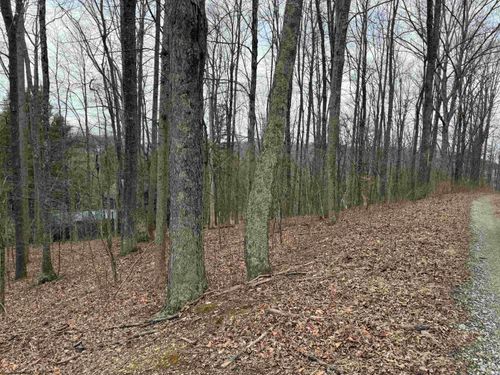 TBD Elliott Ave, Belington, WV, 26250 | Card Image
