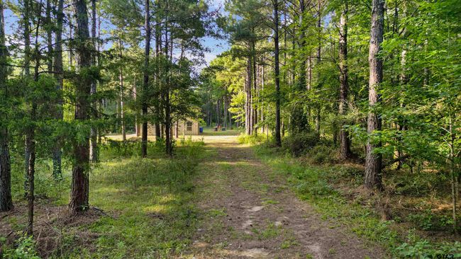 TBD 17.57 ACRES Fm 2274, Home with 1 bedrooms, 1 bathrooms and null parking in Troup TX | Image 10