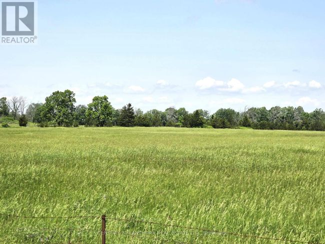 4893 Old Highway 2 Highway, Home with 4 bedrooms, 2 bathrooms and 9 parking in Belleville (Belleville Ward) ON | Image 16