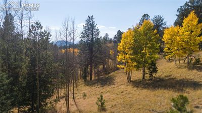 1734 May Queen Drive, Home with 0 bedrooms, 0 bathrooms and null parking in Cripple Creek CO | Image 1