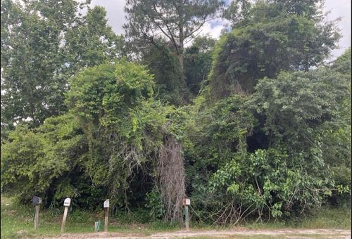 000 Hwy 129, Claxton, GA, 30147 | Card Image