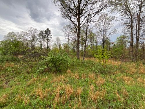 Lot 9 Lake Way, Winona, MO, 65588 | Card Image