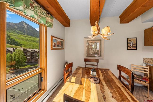 642 - 11 Snowmass Rd, Condo with 2 bedrooms, 2 bathrooms and null parking in Crested Butte CO | Image 13