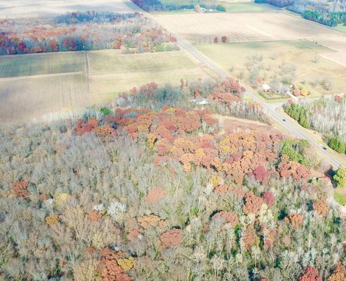 TBDx 165th Avenue Se, Santiago Twp, MN, 55319 | Card Image