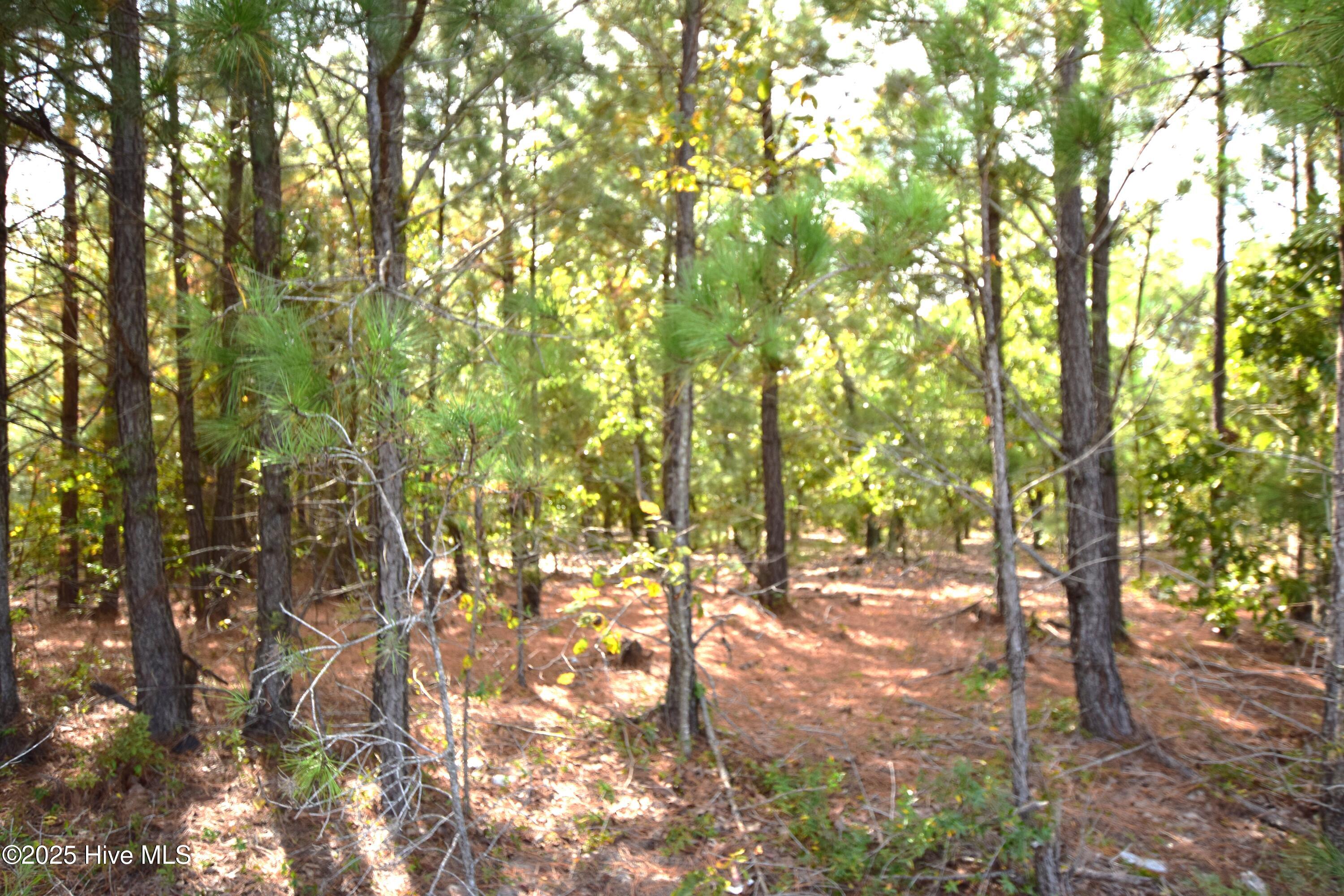 Land in Jackson Springs