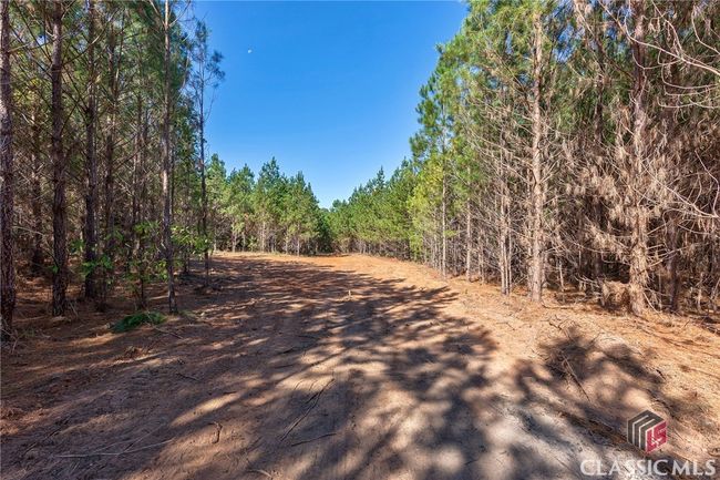 0 Bob Smith Rd, Home with 0 bedrooms, 0 bathrooms and null parking in Stephens GA | Image 31