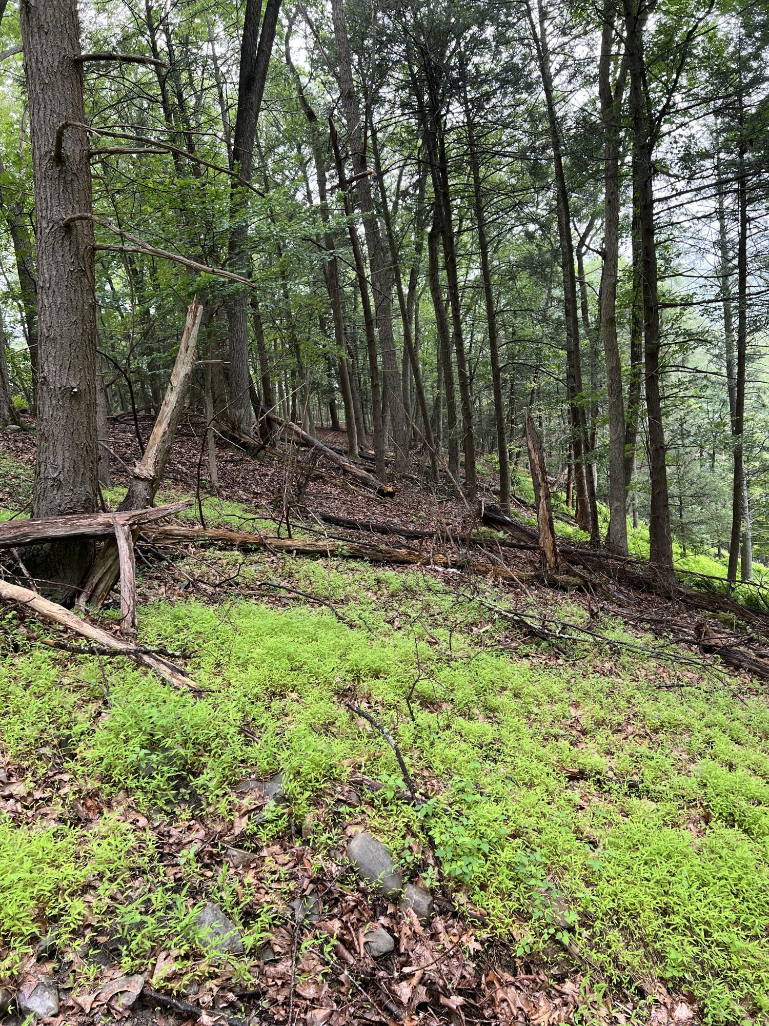 Land in East Stroudsburg 3