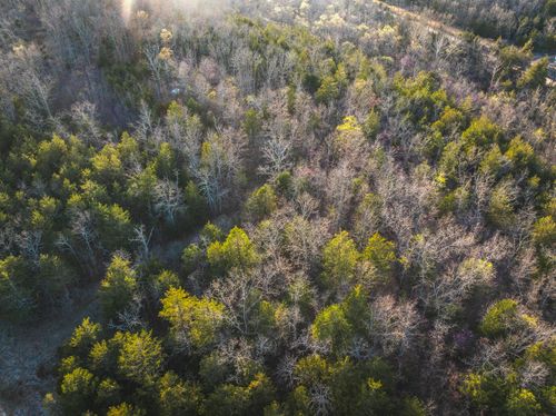 000 Sargent Rd, Cabool, MO, 65689 | Card Image