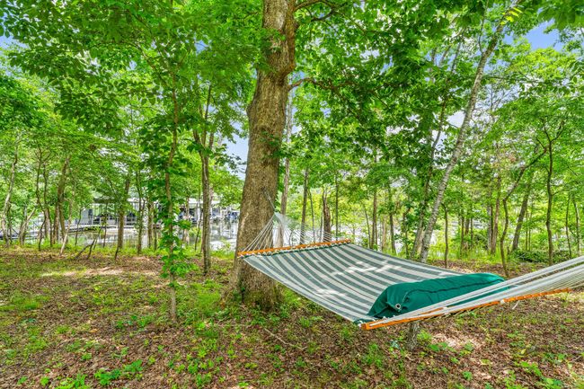 Outdoor Back | Image 14
