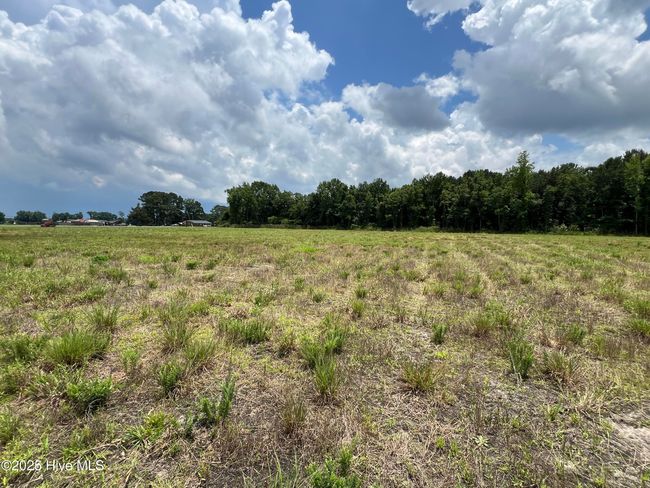 3330 Mccaskey Rd, Home with 0 bedrooms, 0 bathrooms and null parking in Williamston NC | Image 13