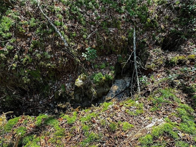 Spring 1 | Image 5