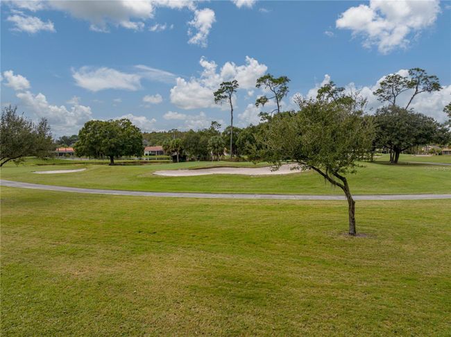 5331 Saddlebrook Way, House other with 6 bedrooms, 6 bathrooms and null parking in Wesley Chapel FL | Image 71