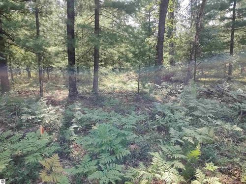 Lot 186 Winterset Dr, Alger, MI, 48610 | Card Image