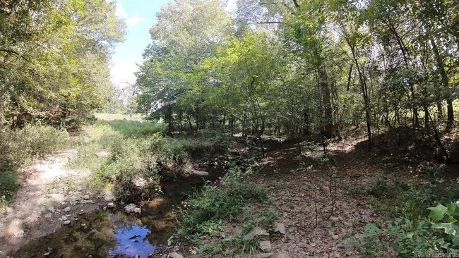 244 Polk Road 144, House other with 3 bedrooms, 2 bathrooms and null parking in Hatfield AR | Image 36