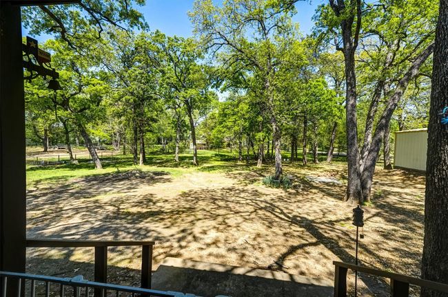 View of yard | Image 32