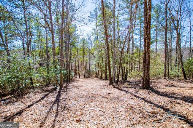 0 County Road 269, Home with 0 bedrooms, 0 bathrooms and null parking in Wedowee AL | Image 14