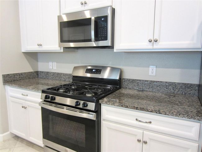 24815 Lambrusco Loop, House other with 4 bedrooms, 3 bathrooms and null parking in LUTZ FL | Image 6