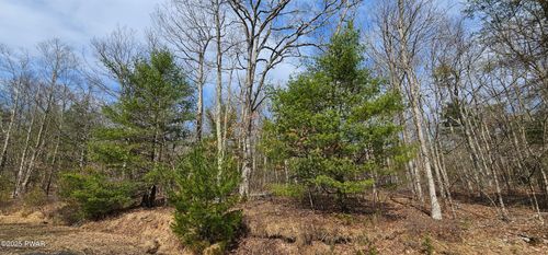 Lot 20.22 Woods Rd, Barryville, NY, 12719 | Card Image