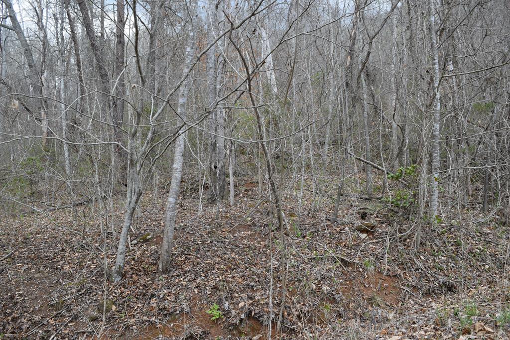 Land in Cullowhee 5