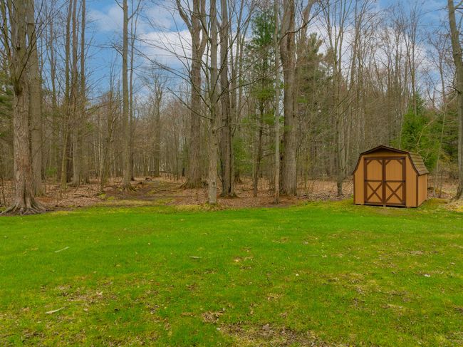 7. Yard and Shed | Image 4