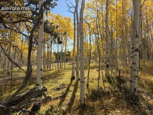 417 Aspen Way Dr, FLORISSANT, CO, 80816 | Card Image