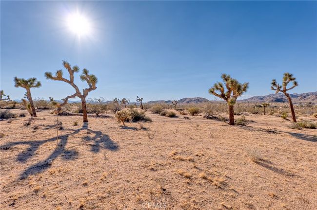 107 Juniper Rd, Home with 0 bedrooms, 0 bathrooms and null parking in Joshua Tree CA | Image 5