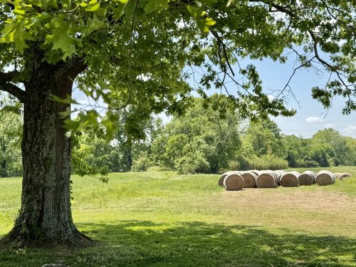 1539 Divine Ln, Arrington, TN, 37014 | Card Image
