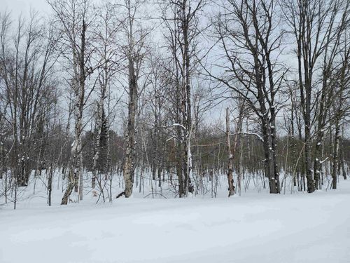 717 & 718 Clarmont Drive, Mancelona Township, MI, 49659 | Card Image