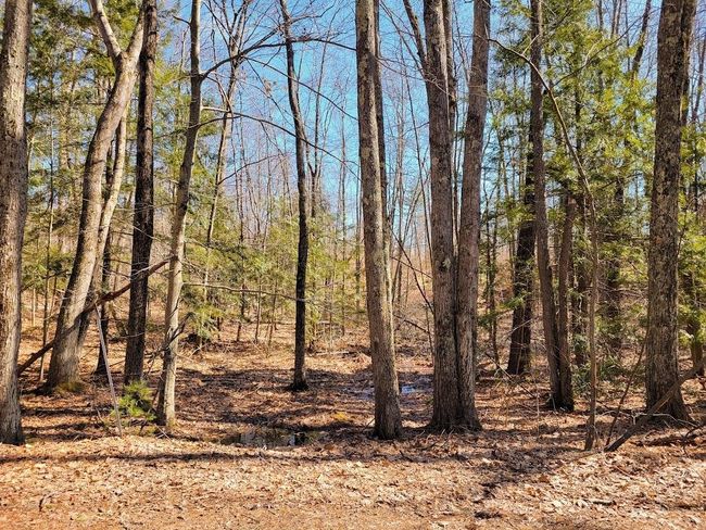 72 - 61 Canterbury Shore Drive, Home with 0 bedrooms, 0 bathrooms and null parking in Canterbury NH | Image 8