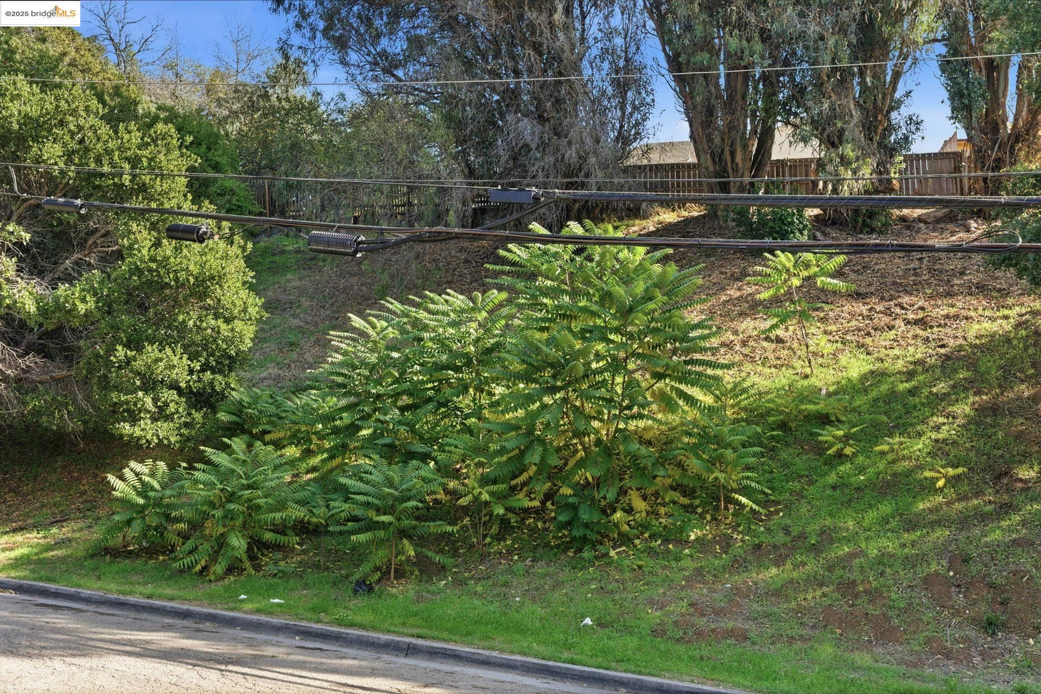 Land in Oakland 5