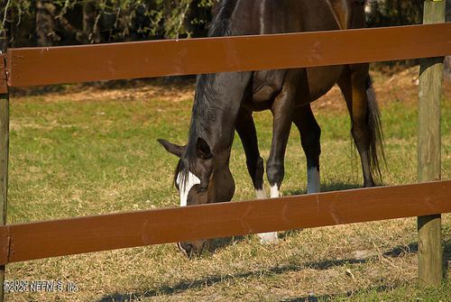 b-3760 Old Jennings Road, Middleburg, FL, 32068 | Card Image