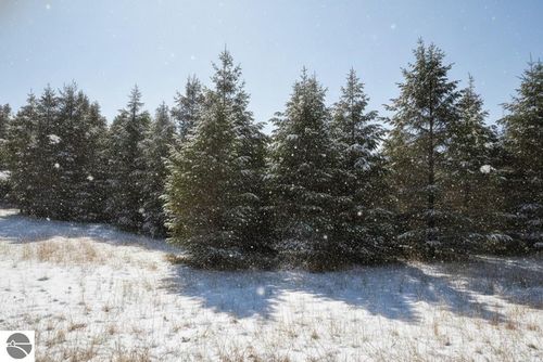 5 Spruce Hollow Trce, Fife Lake, MI, 49633 | Card Image