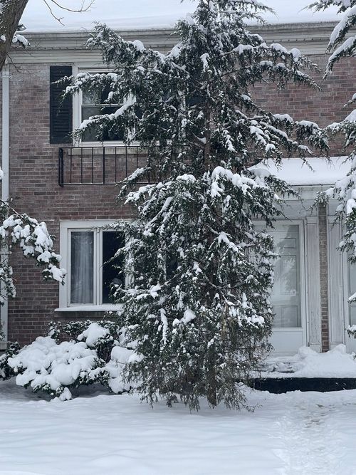 907 N Raynor Ave, Joliet, IL, 60435-4652 | Card Image