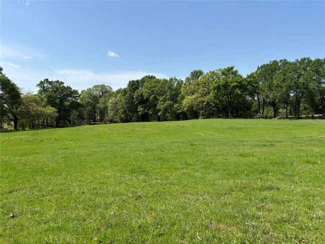 View of local wilderness with a rural view | Image 8