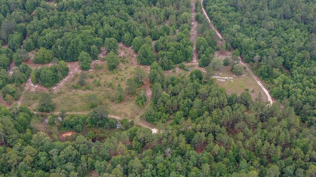 1327 Charlies Loop, Home with 0 bedrooms, 0 bathrooms and null parking in Williston SC | Image 5