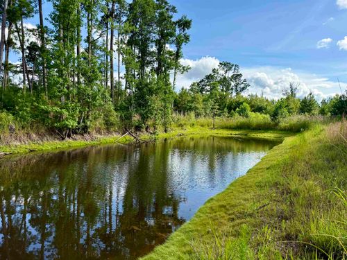 85± Acres - Muddy Creek Rd., Johnsonville, SC, 29555 | Card Image