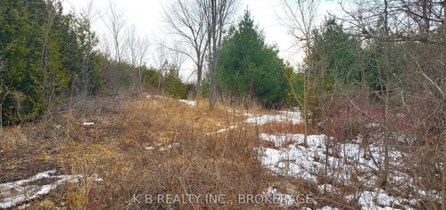 0 Adair Road, Stone Mills, ON, K0K3G0 | Card Image
