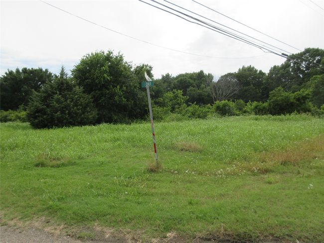 View of undeveloped land | Image 11