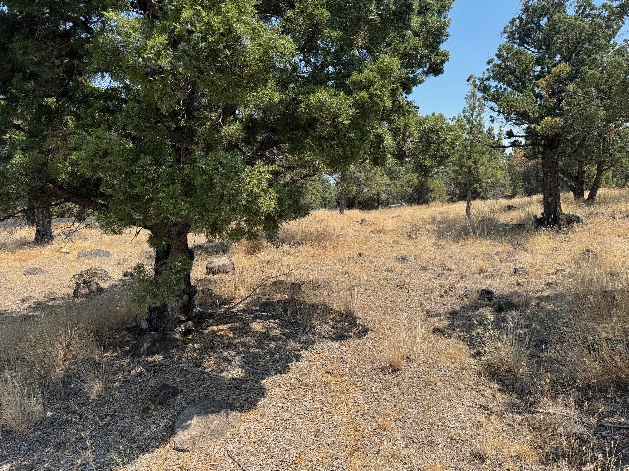Land in Weed