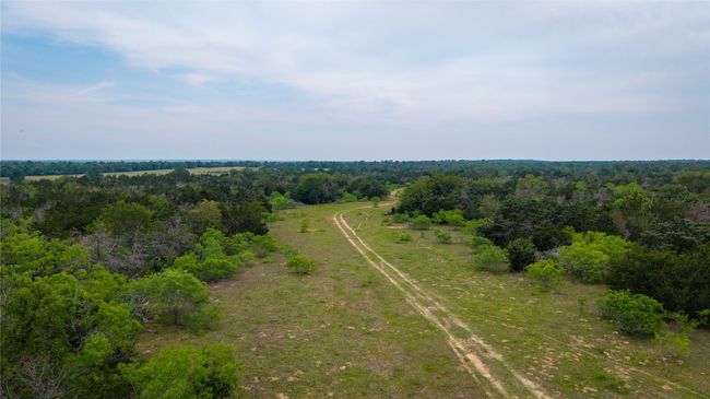 Aerial view of a forest | Image 15