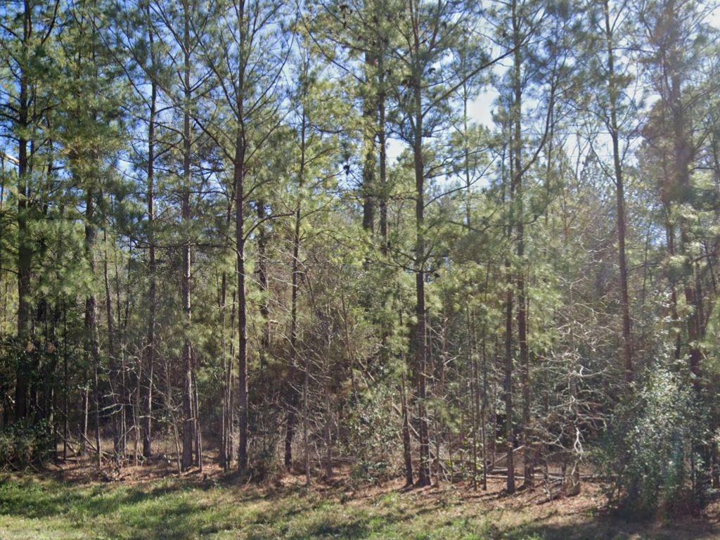 Highway 326 , Kountze, TX 77625