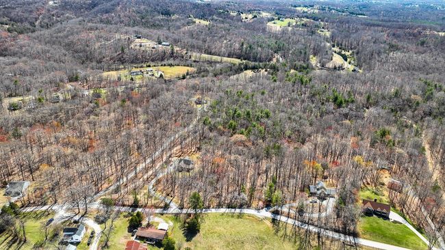 0 Old Cifax Rd, Home with 0 bedrooms, 0 bathrooms and null parking in Goode VA | Image 11