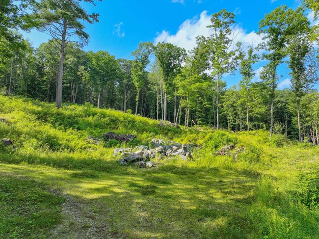 0 Rose Hill Rd, Home with 0 bedrooms, 0 bathrooms and null parking in Woodstock VT | Image 4