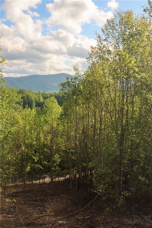 Lot 25 TBD Lake View Drive, Elk Park, NC, 28622 | Card Image