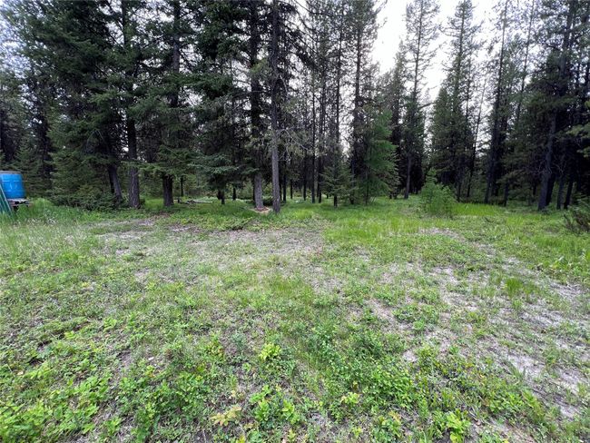 park-like setting to the west of the garage - home site? | Image 112